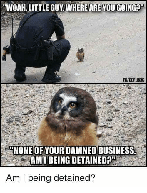 Polizist beugt sich über Eule und fragt "Woah, little guy. Where are you going?" Antowrt Eule: "None of your damned business. Am I being detained?"